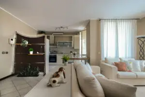 Vendita trilocale San Colonbano al Lambro, living da corridoio
